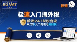 极速入门海外税,欧洲VAT财税合规,从0到1入门跨境电商财税-庄子聊项目