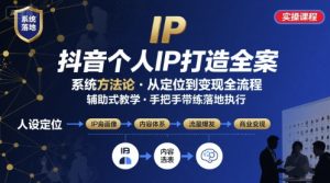 抖音个人IP系统落地实操大课,实操课程,辅助落地-庄子聊项目
