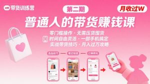 小红书带货第二期训练营，普通人月收过W的带货课，时间自由，零门槛无压货，一部手机即可操作-庄子聊项目