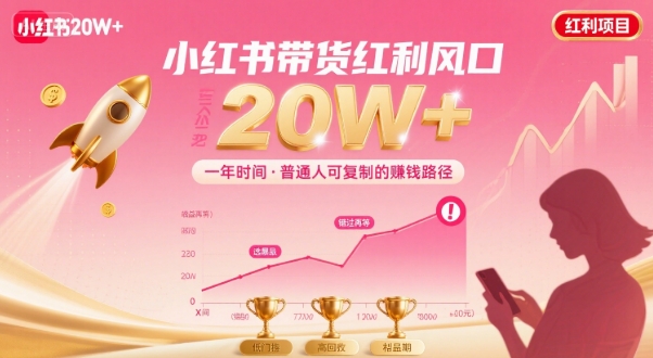 一年时间靠小红书带货项目年入20w+，最不能错的大红利项目-庄子聊项目