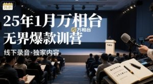 25年1月万相台无界爆款特训营线下录音-庄子聊项目