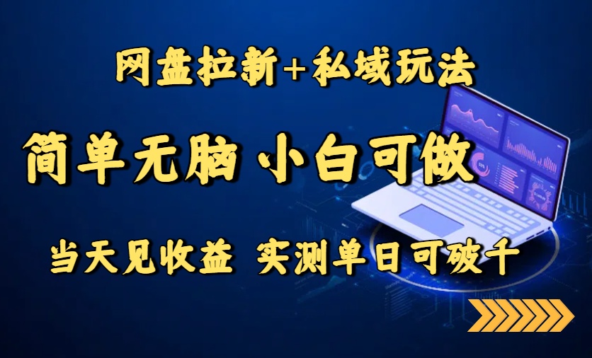 网盘拉新+私域玩法，简单无脑，小白可做，当天见收益，实测单日可破千-庄子聊项目