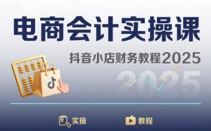 电商会计实操课-抖音小店财务教程2025-庄子聊项目
