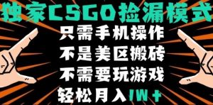 CSGO自动捡漏项目，最新独家玩法，不是美区搬砖，不需要了解和玩游戏，新手小白轻松月入1W+【揭秘】-庄子聊项目
