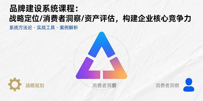 品牌建设系统课程：战略定位/消费者洞察/资产评估，构建企业核心竞争力-庄子聊项目