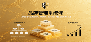 品牌管理系统课:战略定位与消费者洞察,DTC案例、资产评估,增长与公关体系搭建-庄子聊项目