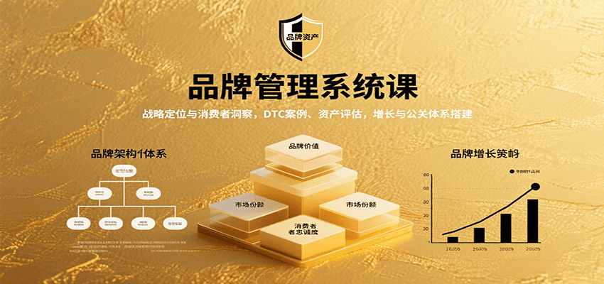 品牌管理系统课：战略定位与消费者洞察，DTC案例、资产评估，增长与公关体系搭建-庄子聊项目
