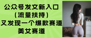 公众号发文新入口(流量扶持-庄子聊项目