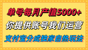 单月产值5000+，支付宝分成代运营，你提供账号坐等分钱，我们帮你运营-庄子聊项目