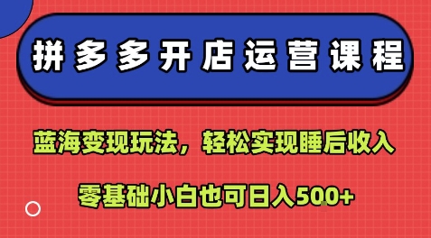 拼多多开店运营课程：蓝海变现玩法，轻松实现睡后收入，零基础小白也可日入5张-庄子聊项目