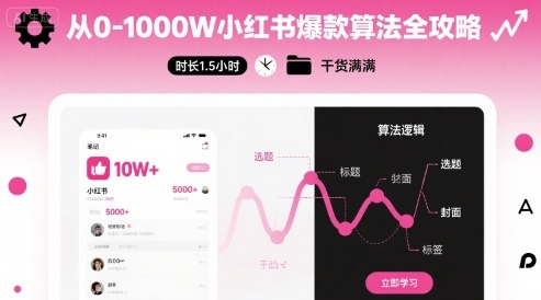 从0-1000W小红书爆款算法全攻略，时长1.5小时，干货满满-庄子聊项目