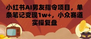 小红书AI男友指令项目，单条笔记变现1w+，小众赛道实操复盘-庄子聊项目