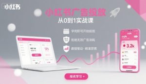小红书广告投放从0到1的实战课,学完即可开始投放,拒绝无效广告消耗-庄子聊项目