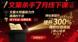 文案杀手7月线下课,文案大师最新力作,满满的干货-庄子聊项目
