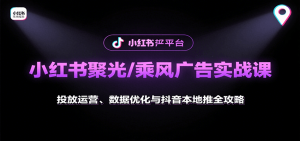 小红书聚光/乘风广告实战课:投放运营、数据优化与抖音本地推全攻略-庄子聊项目