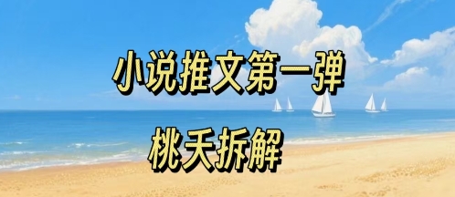 小说推文项目操作全流程第一弹，0粉就能做，门槛低非常适合新手-庄子聊项目