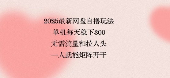 2025最新网盘自撸玩法，单机每天稳下3张，无需流量和拉人头，一个人就可轻松矩阵，全网独一份【揭秘】-庄子聊项目