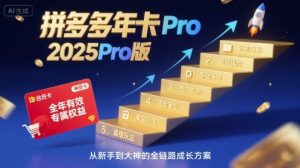 拼多多年卡2025Pro版，五大板块从认知到基础、从推广到活动、从活动到玩法-庄子聊项目