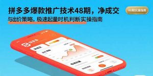 拼多多爆款推广技术48期,净成交与出价策略,极速起量时机判断实操指南-庄子聊项目