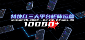 抖快红三大平台矩阵运营，12小时SOP实战+流量获取-风控-扩量，月引10000+线索-庄子聊项目