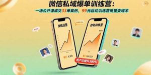 微信私域爆单训练营：一场公开课成交33单案例，99元自动训练营批量变现术-庄子聊项目