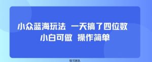小众蓝海玩法 一天搞了四位数 小白可做 操作简单-庄子聊项目