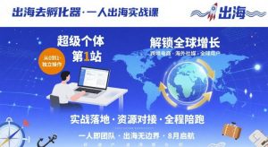 出海去孵化器，一人出海实战课，超级个体第1站，解锁全球增长-庄子聊项目