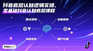 抖音底层认知逻辑实操,零基础抖音认知底层课程-庄子聊项目