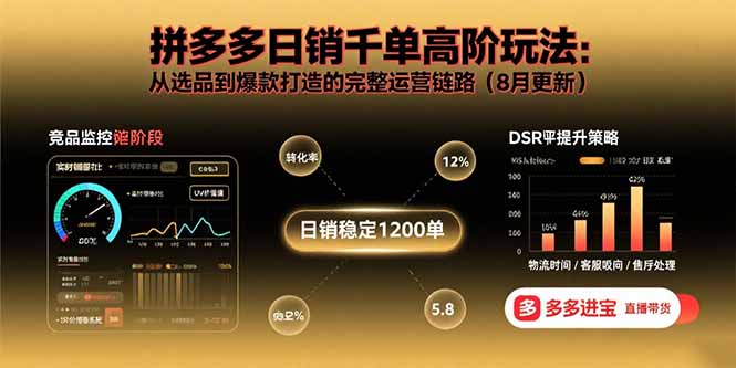 拼多多日销千单高阶玩法：从选品到爆款打造的完整运营链路(8月更新-庄子聊项目