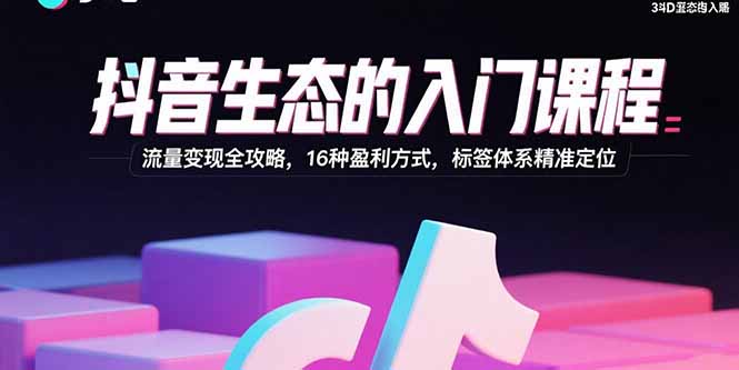 抖音生态的入门课程：流量变现全攻略，16种盈利方式，标签体系精准定位-庄子聊项目