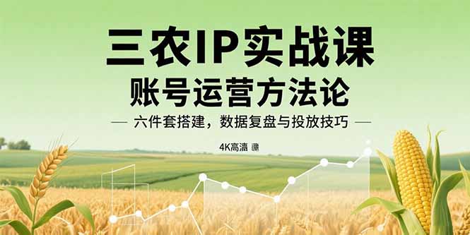 三农IP实战课：账号运营方法论，六件套搭建，数据复盘与投放技巧-庄子聊项目