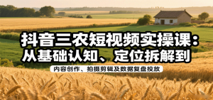 抖音三农短视频实操课：从基础认知、定位拆解到内容创作、拍摄剪辑及数据复盘投放-庄子聊项目
