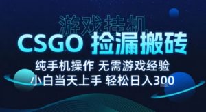 8月最新游戏搬砖，CSGO纯挂G，不需要玩游戏，实现真挂G，月入1W+【揭秘】-庄子聊项目
