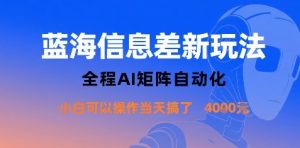 蓝海信息差新玩法，全程AI矩阵自动化小白可以操作当天搞了1k+-庄子聊项目