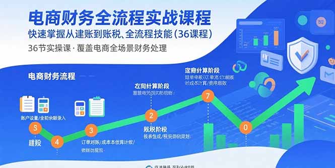 电商财务全流程实战课程：快速掌握从建账到报税的全流程技能(36节课-庄子聊项目