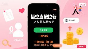 悟空直搜拉新小红书实操教学，一单10米，低门槛，0粉丝小白也能日入多张-庄子聊项目