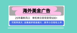 最新海外广告美金，全自动挂机，单机单日500+，可矩阵放大，新手小白轻…-庄子聊项目