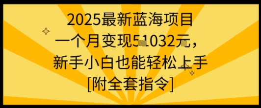 2025最新蓝海项目一个月变现1w+新手小白也能轻松上手【附全套指令】-庄子聊项目