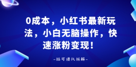 0成本，小红书最新玩法，小白无脑操作，快速涨粉变现-庄子聊项目