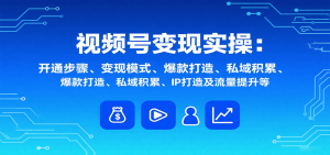 视频号变现实操，含开通步骤、变现模式、爆款打造、私域积累、IP打造及流量提升等-庄子聊项目