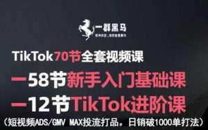 TikTok全套视频课，新手入门+进阶课，短视频ADS-GMV MAX投流打品，日销破1000单打法-庄子聊项目
