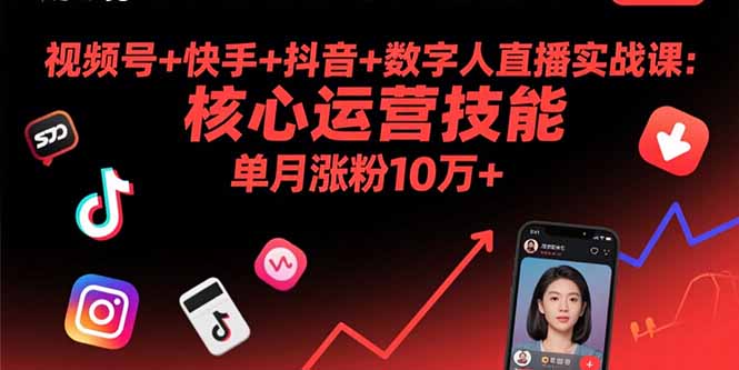 视频号+快手+抖音+数字人直播实战课(9月-庄子聊项目