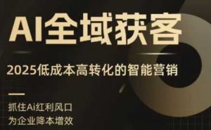 AI全域获客实训营，2025低成本高转化的智能营销，精准找客，高效营销-庄子聊项目