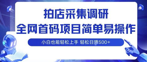 拍店采集调研，全网首码项目，简单易操作， 小白也能轻松上手，多账号操作，轻松日入5张【揭秘】-庄子聊项目