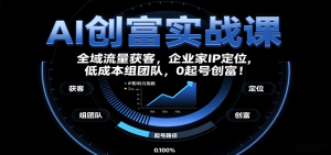 AI创富实战课：企业家IP定位，全域流量获客，低成本组团队，0起号创富！-庄子聊项目