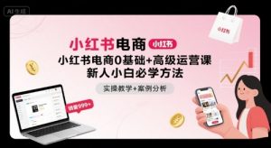 小红书电商0基础+高级运营课,新人小白必学方法,实操教学+案例分析-庄子聊项目