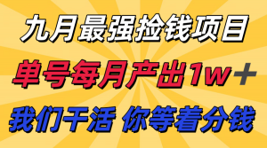 九月最强捡钱项目! 支付宝分成代运营,我们干活,你分钱!单号月产1w+-庄子聊项目