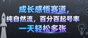 成长感悟赛道，纯自然流，百分百起号率 一天轻松多张-庄子聊项目