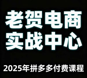 老贺电商2025年拼多多付费课程，用通俗易懂的方法告诉你多多怎么玩-庄子聊项目