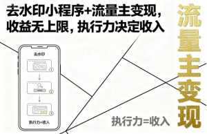 去水印小程序+流量主变现，收益无上限，执行力决定收入-庄子聊项目